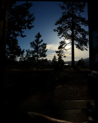 DSC_9873 (Large).JPG